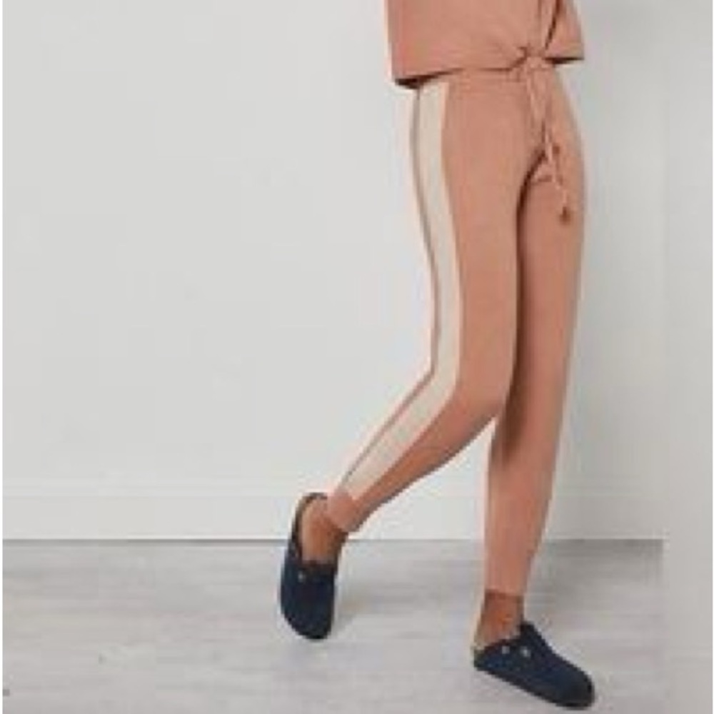 By Anthropologie Saturday Sunday | Clara Colorblocked Jogger  Size 1X
